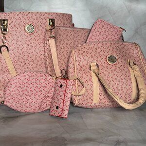 6 Piece Pink Purse Set